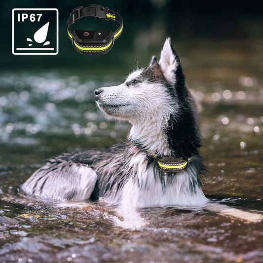 training collars for barking dogs